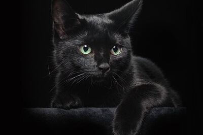 Softtouch Folienkaschierung