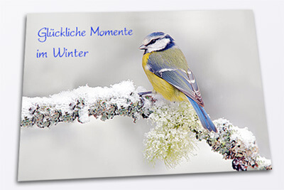 Karte auf der eine Meise auf einem verschneiten Ast sitzt