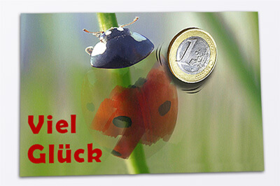 Marienkäfer an Grashalm, der durch schraffieren sichtbar wird, daneben der Text: Viel Glück